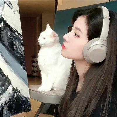憨姑爷粤语